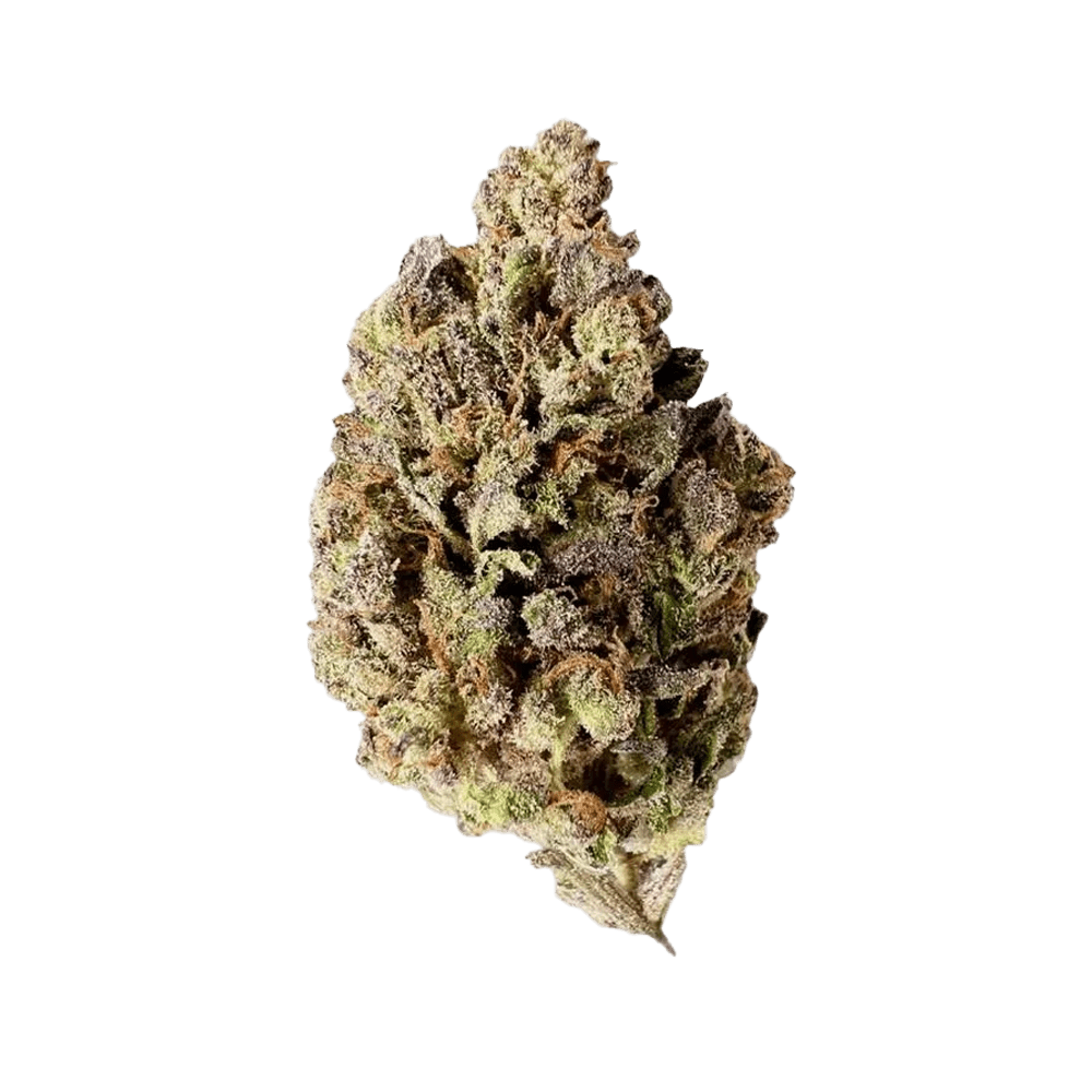 Avani - Lime Haze - THC Flower 23% - 10g