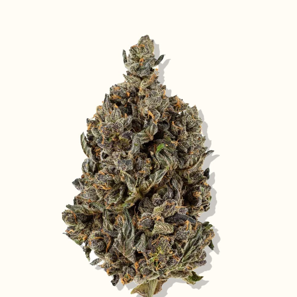 Aura Therapeutics - Apples & Bananas - THC Flower 25% - 10g
