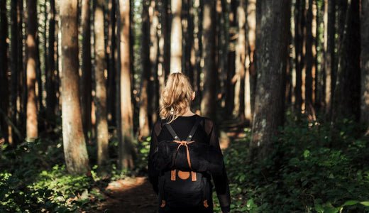Understanding PTSD