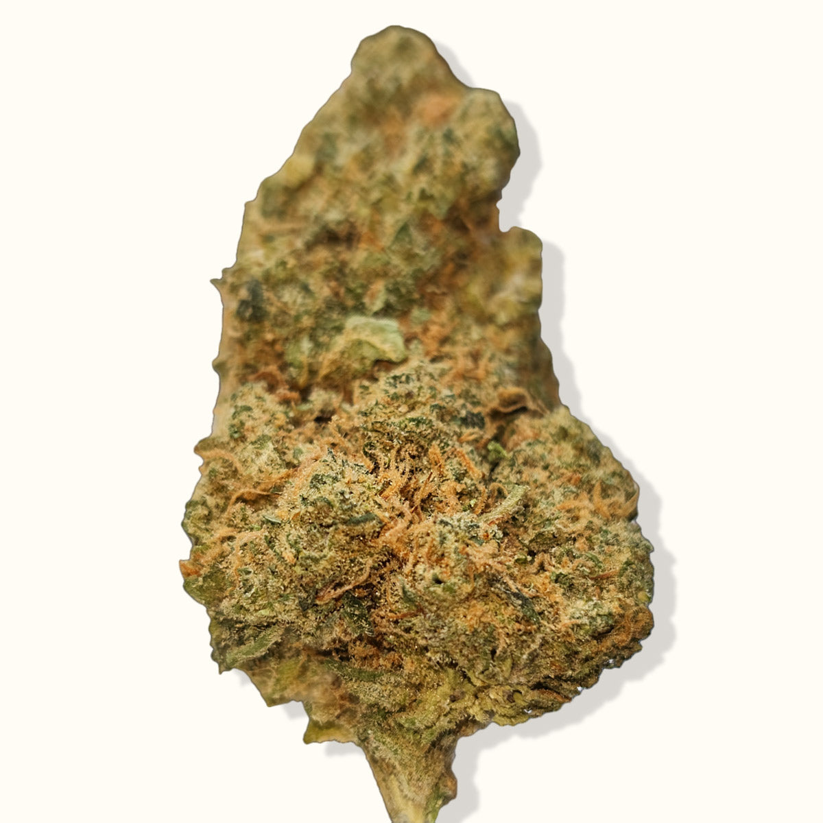 Solstrain - Agent Orange (AO) - THC Flower 22%