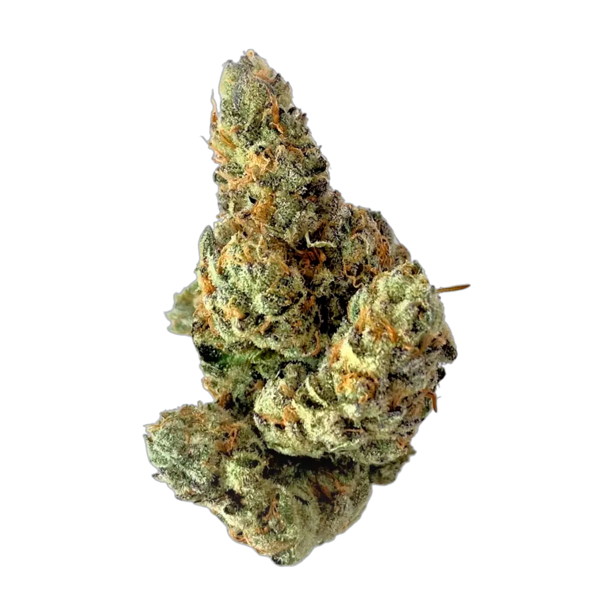 MediCabilis - FGW26 Garlic Chem - THC Flower 26% - 15g