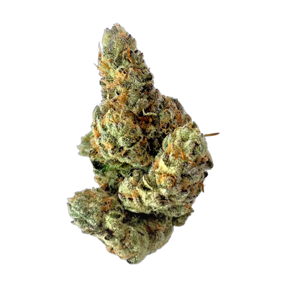MediCabilis - FGW26 Garlic Chem - THC Flower 26% - 15g